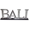 02 486 Bali Silver